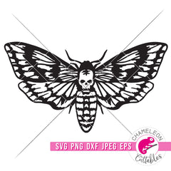 Death’s Head Moth Halloween svg png dxf eps jpeg SVG DXF PNG Cutting File