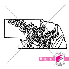 Nebraska state flower Goldenrod outline svg png dxf eps jpeg SVG DXF PNG Cutting File